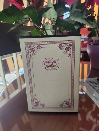 Libro antigüedad fortunata y Jacinta