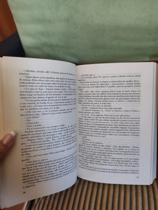 Libro antigüedad fortunata y Jacinta