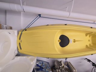 Piragua amarilla QUASSOU