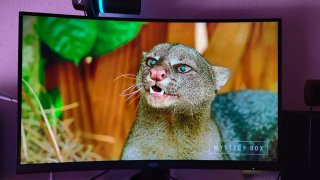 Monitor Gaming