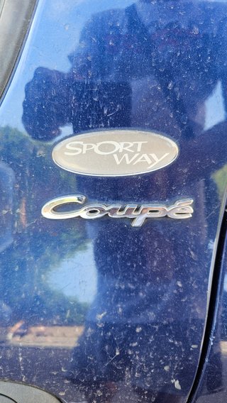 Renault Megane Coupé SportWay