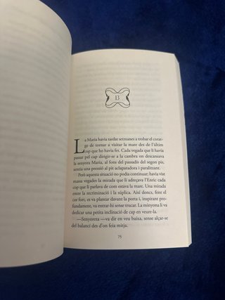 Entre el foc i les brases (Els Faura 2)