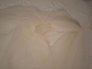 Velo de Novia Blanco de Rosa Clara