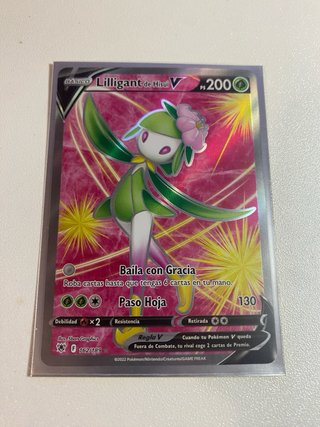 lote de Cartas Pokémon