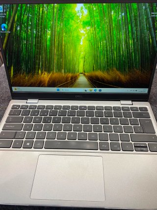 Dell Latitude 3320 Plata