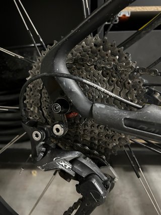 Bicicleta de Montaña Focus de carbono