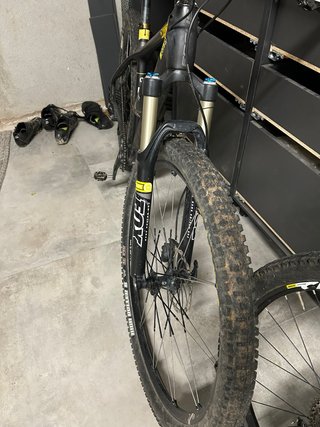 Bicicleta de Montaña Focus de carbono