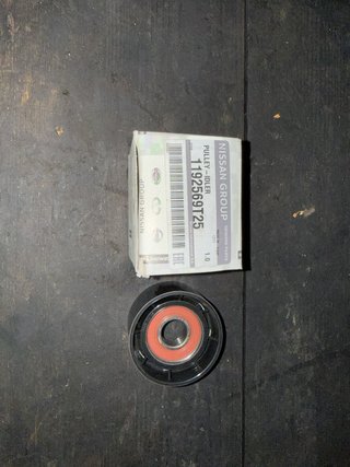 Polea Tensora Nissan 1192569T25