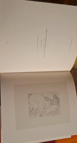 Picasso Suite Vollard y Minotauromaquia