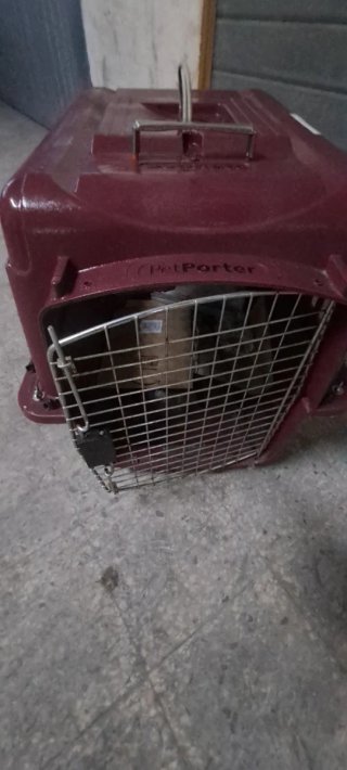 Trasportino Petmate rosso e argento