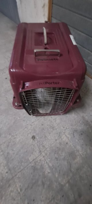 Trasportino Petmate rosso e argento