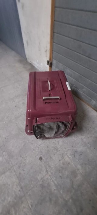 Trasportino Petmate rosso e argento