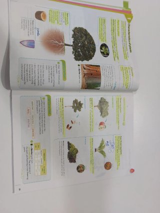 Natural Science STEAM 5°primaria URDANETA