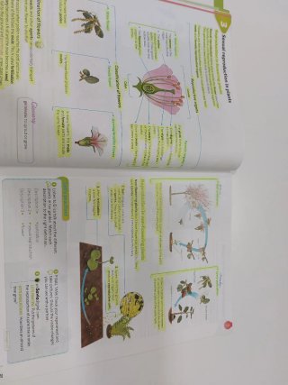 Natural Science STEAM 5°primaria URDANETA
