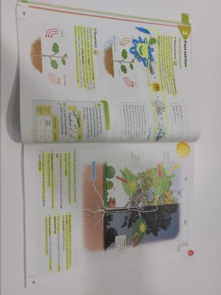Natural Science STEAM 5°primaria URDANETA