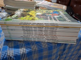 Lotes Revistas Guardia Civil años 1976 a 2005