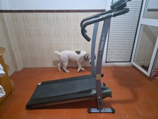 Cinta de andar Training 520