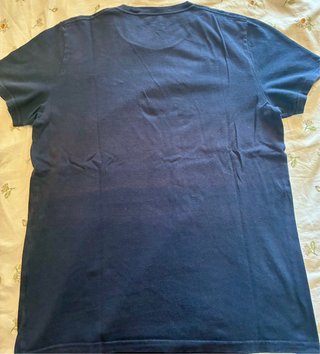 Camiseta Hollister Azul