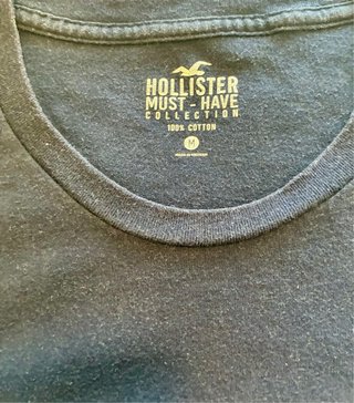 Camiseta Hollister Azul