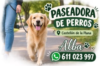 Paseadora de perros en Castellón de la Plana