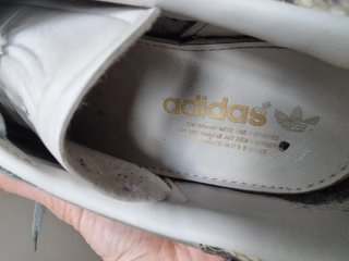 Adidas Gazelle Gris y Blanco