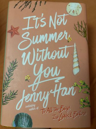 It's Not Summer Without You