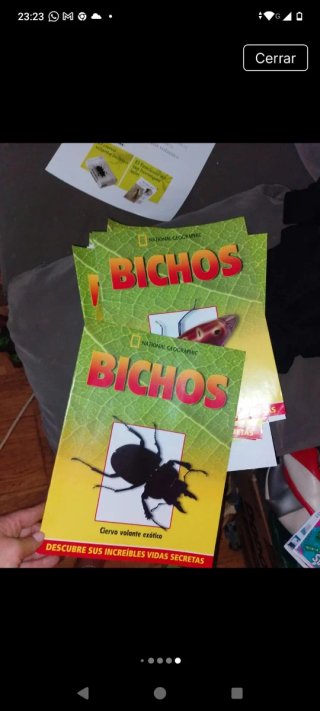 Colección de insectos