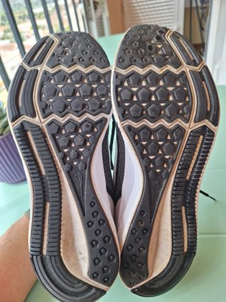 Zapatillas running Nike downshifter