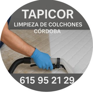 Limpieza de tapicería  Sillones  Sofás  Colchones