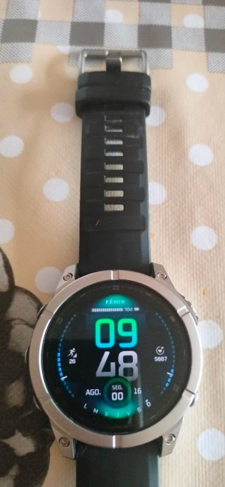 Garmin Fenix E