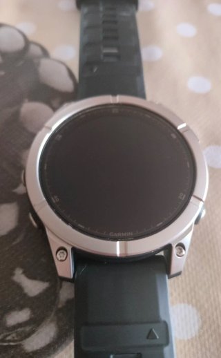 Garmin Fenix E