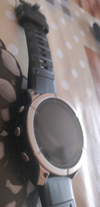 Garmin Fenix E