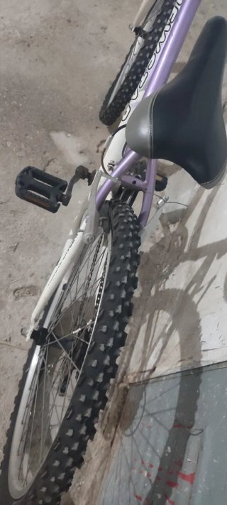 Bicicleta de Montaña Morada