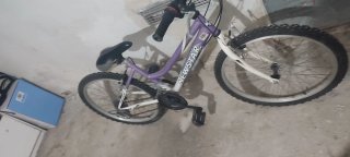 Bicicleta de Montaña Morada