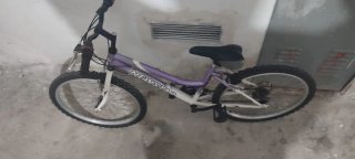 Bicicleta de Montaña Morada