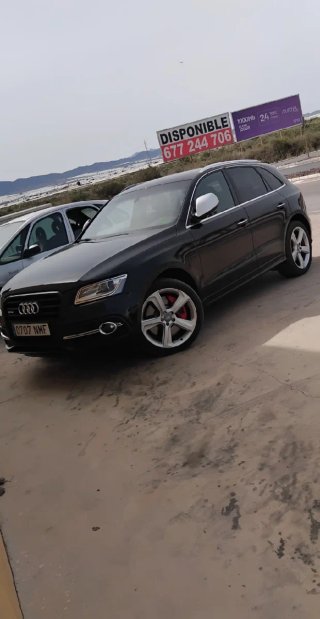 Audi SQ5 2015