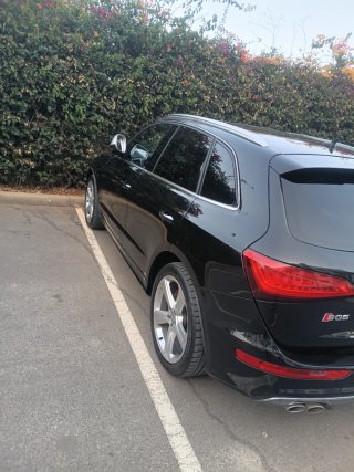 Audi SQ5 2015