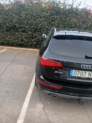 Audi SQ5 2015