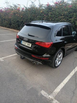 Audi SQ5 2015