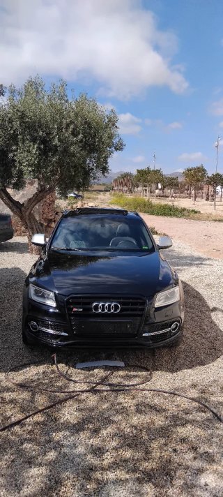 Audi SQ5 2015