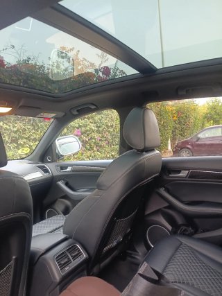 Audi SQ5 2015