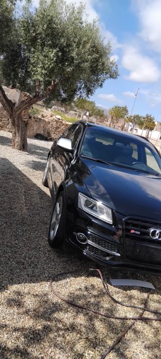 Audi SQ5 2015