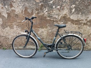 Bicicleta DiTerzo Town Gris