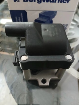 Bobina Encendido BorgWarner + Bujías BERU