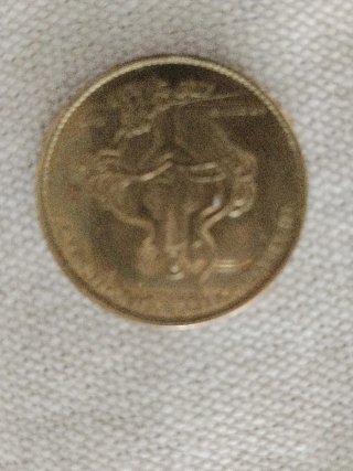Medalla Nuestra Señora de Lourdes