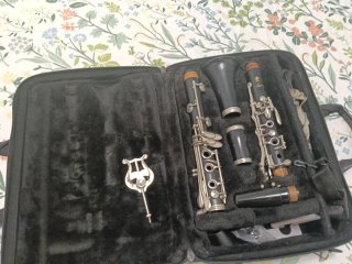Clarinete Yamaha YCL-255 S