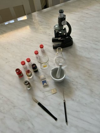 MICROSCOPIO EDUCATIVO ANNI 1960