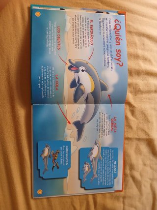 El delfín. ANIMALES DEL MAR vol.1