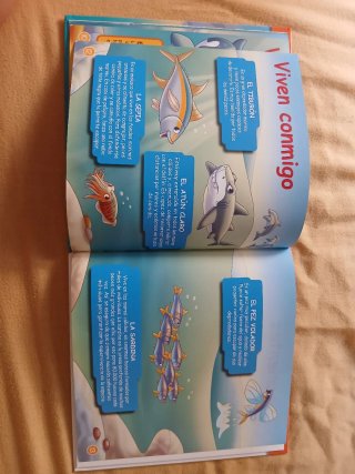 El delfín. ANIMALES DEL MAR vol.1