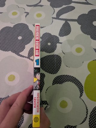 manga Boku no Hero